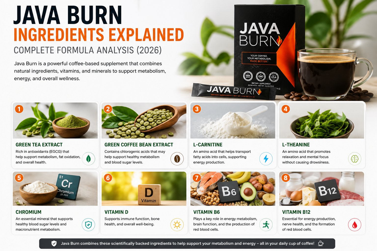 Java Burn Green Tea Extract Ingredients